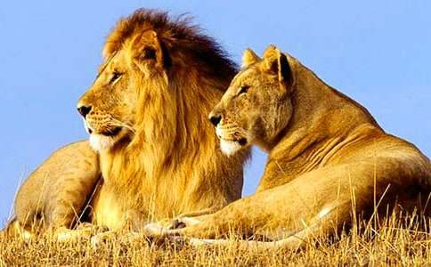 �����T���{��ͯԒ���İ�ƪ