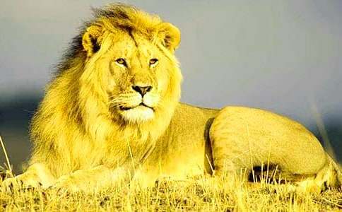 �n�ġ���ֻС�{�ӡ���(y��u)��̌W(xu��)�O(sh��)Ӌ����