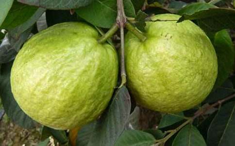 �����T��ʯ�������