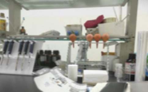 夢想的實驗室五年級作文