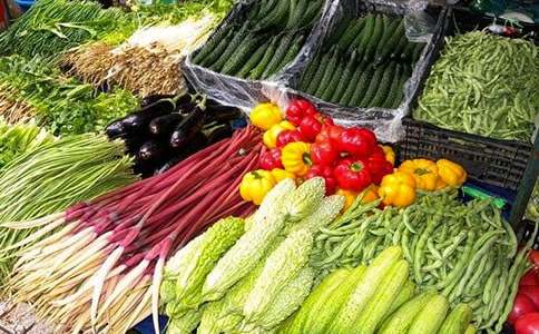 蔬菜的童話故事