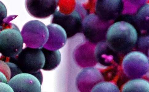 ˮ���^�����ĺϼ�8ƪ