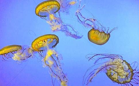 �^��ˮĸ������(ͨ��4ƪ)