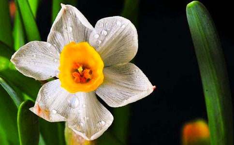 ˮ������400����ƪ