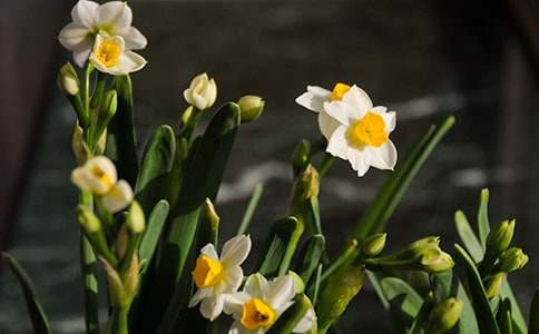 �����T��ˮ������600��4ƪ