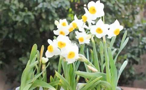 ˮ�ɻ����^������