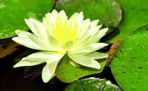 �����T��˯ɏ����300��4ƪ