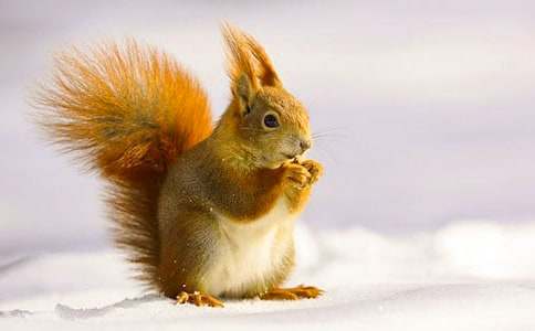 �����M(j��n)�ҁ�(l��i)�����󡷃�(y��u)��̌W(xu��)�O(sh��)Ӌ(j��)��ͨ��12ƪ��