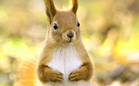 2015��������ɹ��̌W(xu��)�O(sh��)Ӌ(j��)