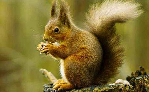 �����󡷵ڶ��n�r�̌W(xu��)�O(sh��)Ӌ�����x27ƪ��