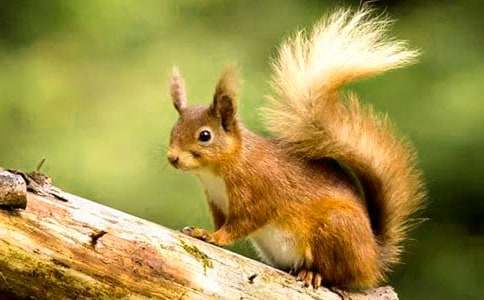 ��22���M�ҁ������󡷵ڶ�����ĥ�̌W�O(sh��)Ӌ