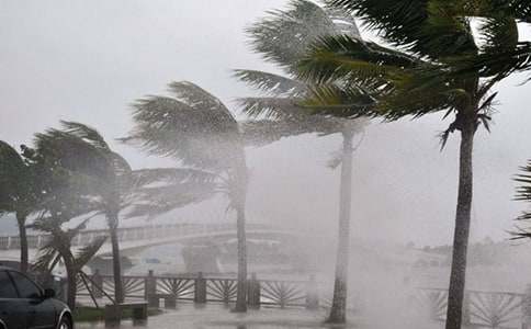 �����T���_(t��i)�L(f��ng)����4ƪ