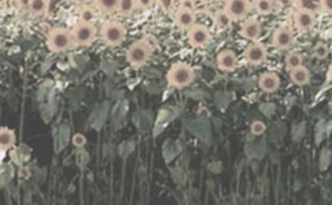 ̫ꖻ�������400��