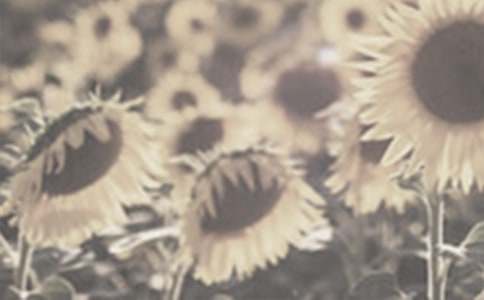 ����̫�(y��ng)�����ģ����x30ƪ��