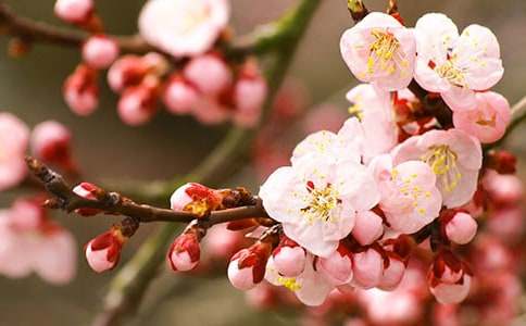 �茑�һ��ɫ���~�Z(y��)