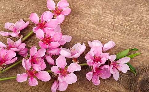 �����һ���Ԋ(sh��)���~�Z(y��)