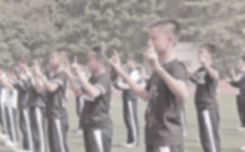 С�W(xu��)�w���̌W(xu��)���Y(ji��)2017