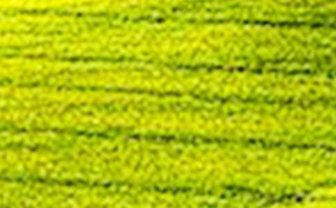 ��Ұ���L(f��ng)����800��