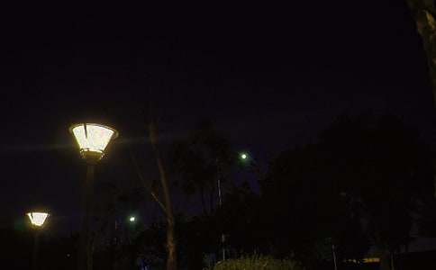 �������ҵĉ�����