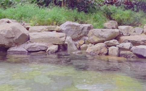 【推薦】溫泉作文500字3篇