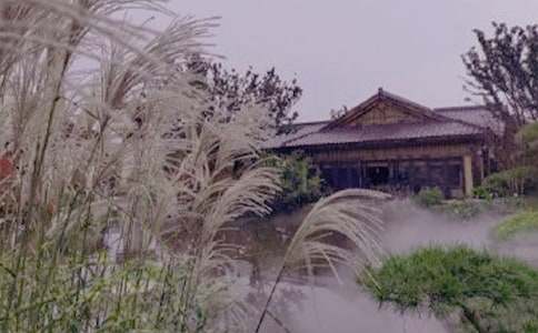 �ݜ�Ȫ����500��6ƪ