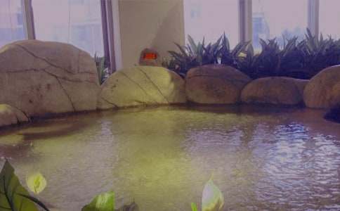 泡溫泉小學生400字作文