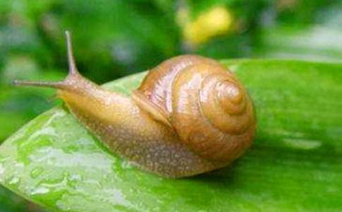 С�W(xu��)�^��΁ţɢӛ����