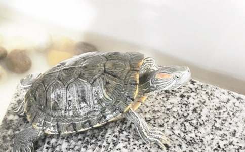 ����ِ���¾������ģ����x68ƪ��