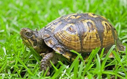 ����Z(y��)�Ի��(d��ng)�̰����̌W(xu��)��˼�����Ğ�����