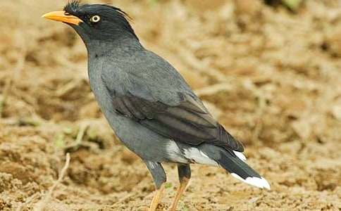 ���f��ˮ�m(x��)��(xi��)����(15ƪ)