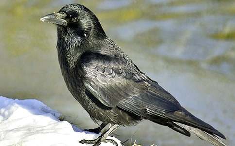 ���f��ˮ���ķ���