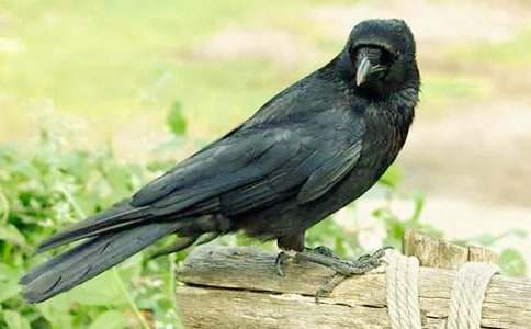 ��С���f�ۋ������̰��OӋ�c��(g��u)�루ͨ��21ƪ��