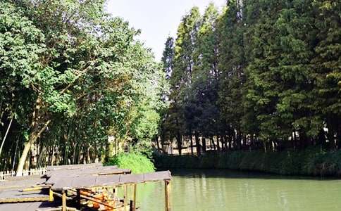 烏鎮(zhèn)作文400字三篇