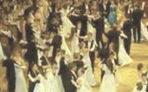 春天的舞會寫景作文(通用7篇)