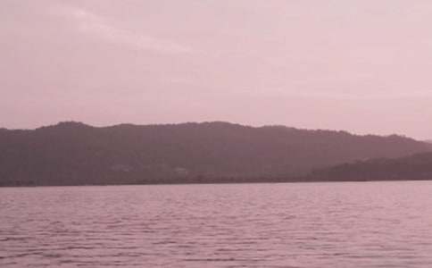 �茑(xi��)����������800�֣����x82ƪ��