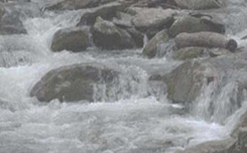 СϪ������������5ƪ