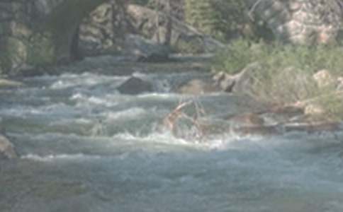 小溪流的旅行作文