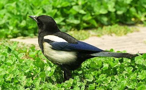 ϲ�o����400�֣����x36ƪ��