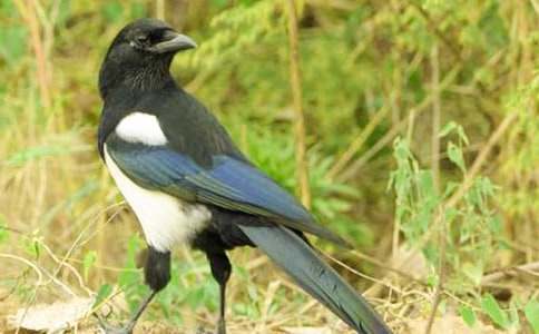 ϲ�o����400��9ƪ