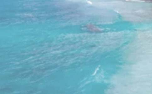 �������������������ģ�ͨ��19ƪ��