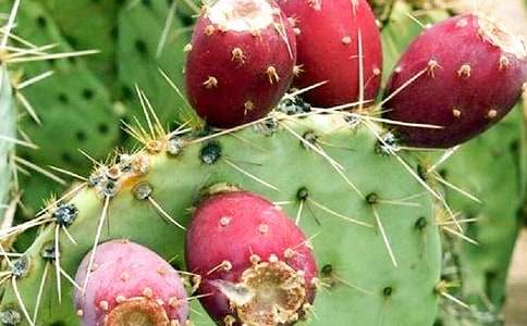 �����ƵČ�(xi��)������