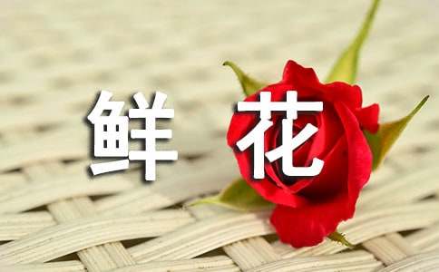 鮮花送給媽媽優(yōu)秀作文范文