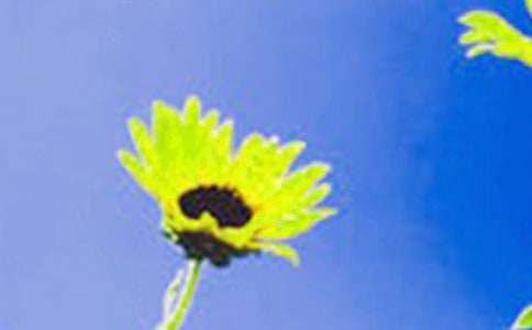 ��������տ�Ů��ͯԒ����