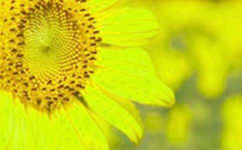 ���տ�,�ҵ����(��i)����