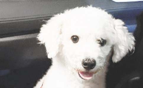 С��ͯԒ���ģ����x18ƪ��