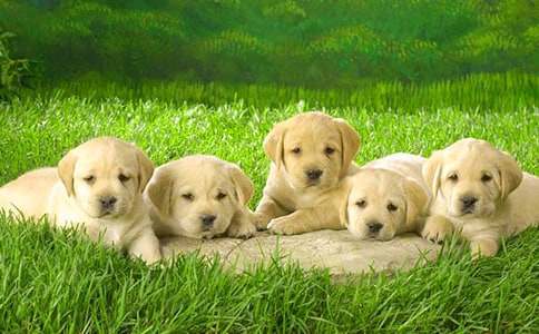 С��������100�֣����x20ƪ��