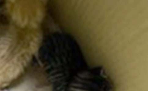 ����ϲ�gС؈_350��