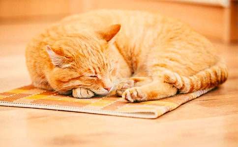 С؈�����ľ��x