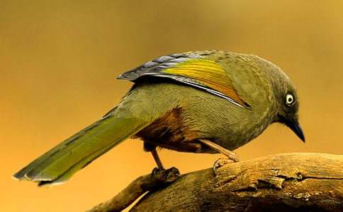 ���P(gu��n)С�B��ͯԒ���İ�ƪ