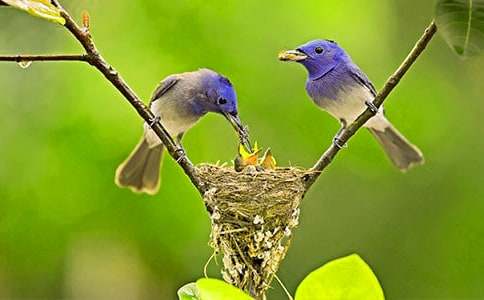 �����A��С�B(ni��o)��ͯԒ����3ƪ